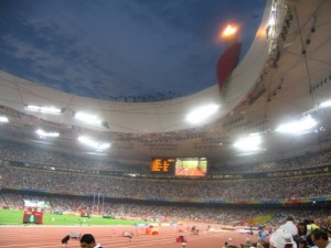 china4-2 Inside the nest...